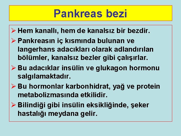 Pankreas bezi Ø Hem kanallı, hem de kanalsız bir bezdir. Ø Pankreasın iç kısmında