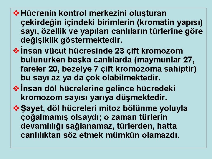 v Hücrenin kontrol merkezini oluşturan çekirdeğin içindeki birimlerin (kromatin yapısı) sayı, özellik ve yapıları