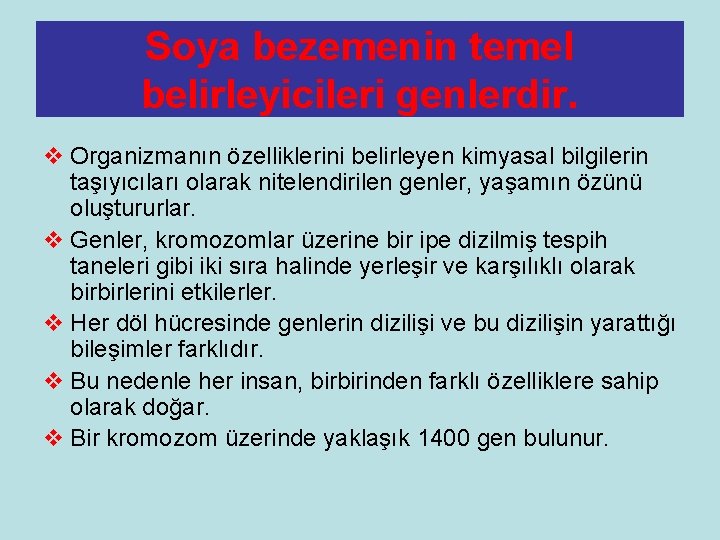 Soya bezemenin temel belirleyicileri genlerdir. v Organizmanın özelliklerini belirleyen kimyasal bilgilerin taşıyıcıları olarak nitelendirilen