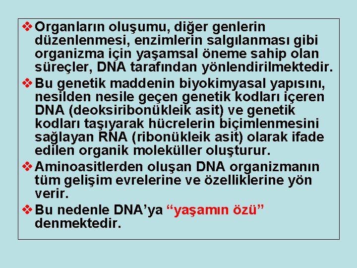 v Organların oluşumu, diğer genlerin düzenlenmesi, enzimlerin salgılanması gibi organizma için yaşamsal öneme sahip