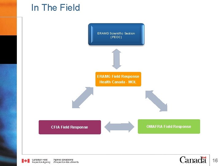 In The Field ERAMG Scientific Section (PEOC) ERAMG Field Response Health Canada - MOL