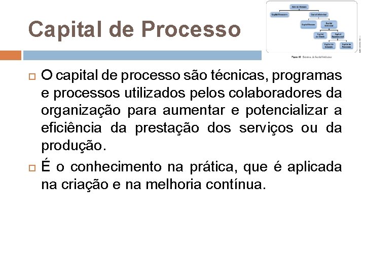Capital de Processo O capital de processo são técnicas, programas e processos utilizados pelos