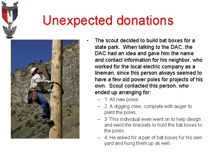 Unexpected donations • The scout decided to build bat boxes for a state park.