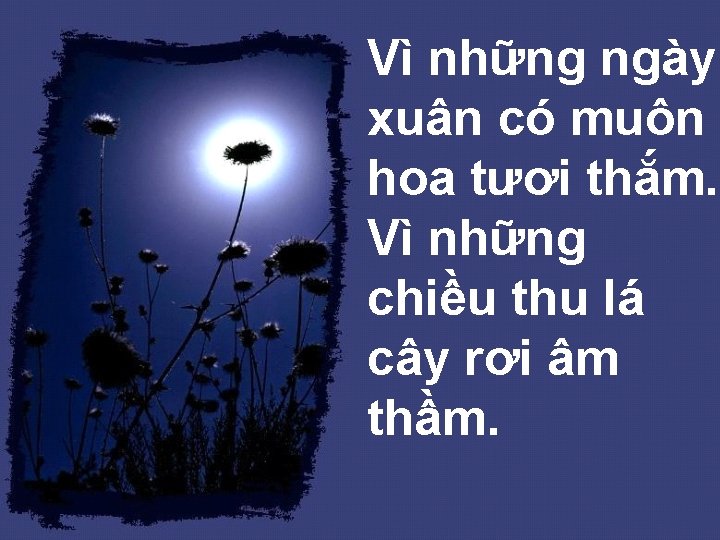 Vì những ngày xuân có muôn hoa tươi thắm. Vì những chiều thu lá