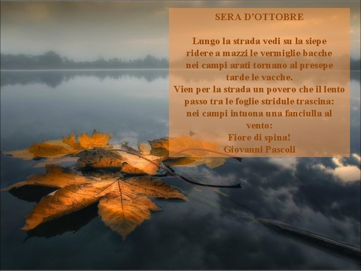 SERA D'OTTOBRE Lungo la strada vedi su la siepe ridere a mazzi le vermiglie