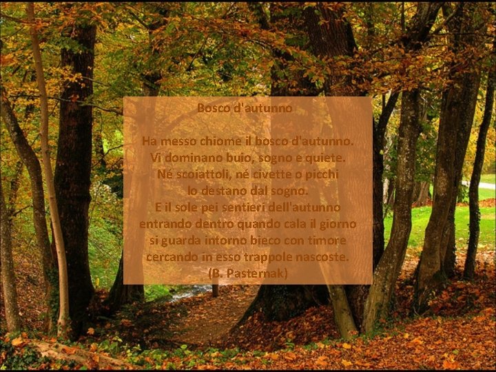 Bosco d'autunno Ha messo chiome il bosco d'autunno. Vi dominano buio, sogno e quiete.