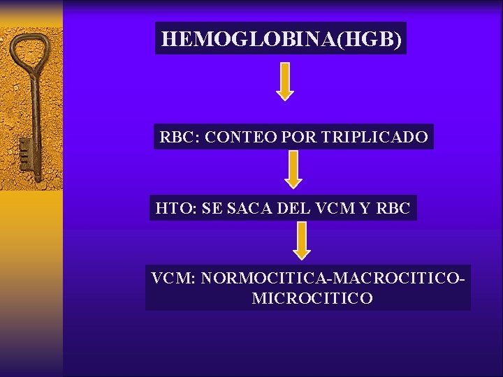 HEMOGLOBINA(HGB) RBC: CONTEO POR TRIPLICADO HTO: SE SACA DEL VCM Y RBC VCM: NORMOCITICA-MACROCITICOMICROCITICO