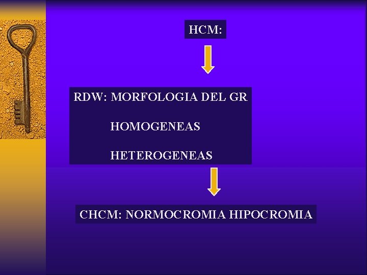 HCM: RDW: MORFOLOGIA DEL GR HOMOGENEAS HETEROGENEAS CHCM: NORMOCROMIA HIPOCROMIA 