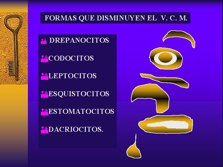 FORMAS QUE DISMINUYEN EL V. C. M. E DREPANOCITOS ECODOCITOS ELEPTOCITOS EESQUISTOCITOS EESTOMATOCITOS EDACRIOCITOS.