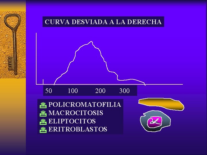 CURVA DESVIADA A LA DERECHA 50 100 200 300 G POLICROMATOFILIA G MACROCITOSIS G