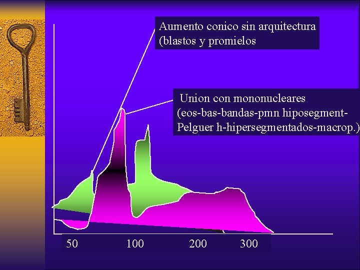 Aumento conico sin arquitectura (blastos y promielos Union con mononucleares (eos-bandas-pmn hiposegment. Pelguer h-hipersegmentados-macrop.