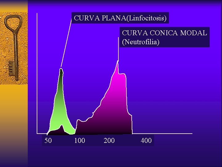 CURVA PLANA(Linfocitosis) CURVA CONICA MODAL (Neutrofilia) 50 100 200 400 