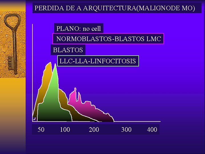 PERDIDA DE A ARQUITECTURA(MALIGNODE MO) PLANO: no cell NORMOBLASTOS-BLASTOS LMC BLASTOS LLC-LLA-LINFOCITOSIS 50 100