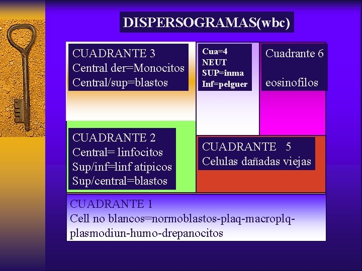 DISPERSOGRAMAS(wbc) CUADRANTE 3 Central der=Monocitos Central/sup=blastos CUADRANTE 2 Central= linfocitos Sup/inf=linf atipicos Sup/central=blastos Cua=4