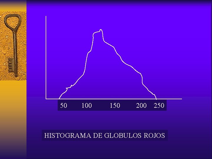 50 100 150 200 250 HISTOGRAMA DE GLOBULOS ROJOS 
