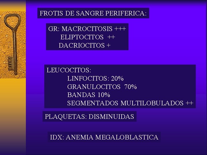 FROTIS DE SANGRE PERIFERICA: GR: MACROCITOSIS +++ ELIPTOCITOS ++ DACRIOCITOS + LEUCOCITOS: LINFOCITOS: 20%