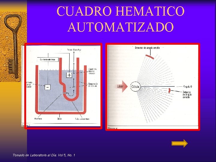 CUADRO HEMATICO AUTOMATIZADO Tomado de Laboratorio al Día. Vol 5, No. 1 