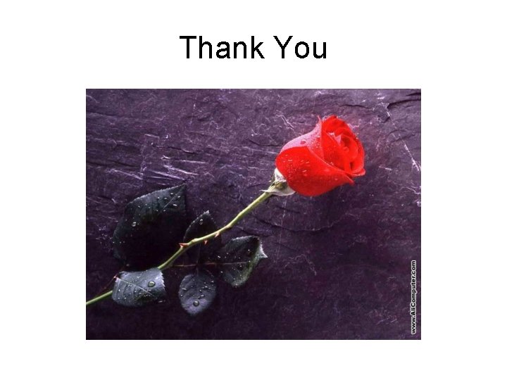 Thank You 