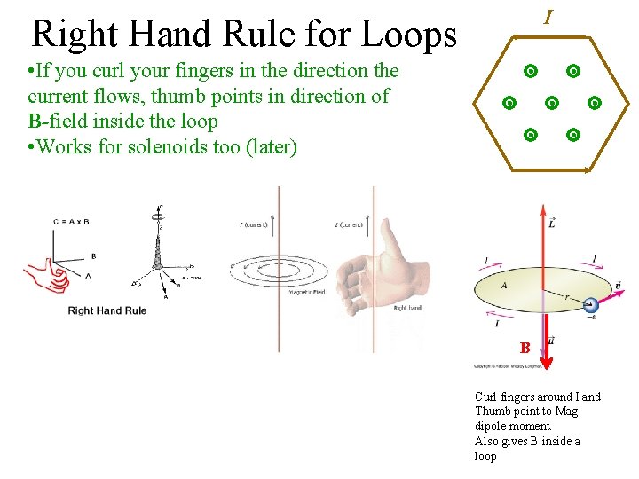 I Right Hand Rule for Loops • If you curl your fingers in the