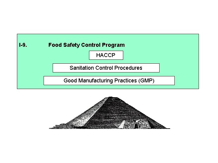 I-9. Food Safety Control Program HACCP Sanitation Control Procedures Good Manufacturing Practices (GMP) 