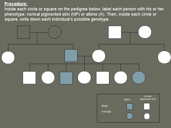 Procedure: Inside each circle or square on the pedigree below, label each person with Procedure: Inside each circle or square on the pedigree below, label each person with