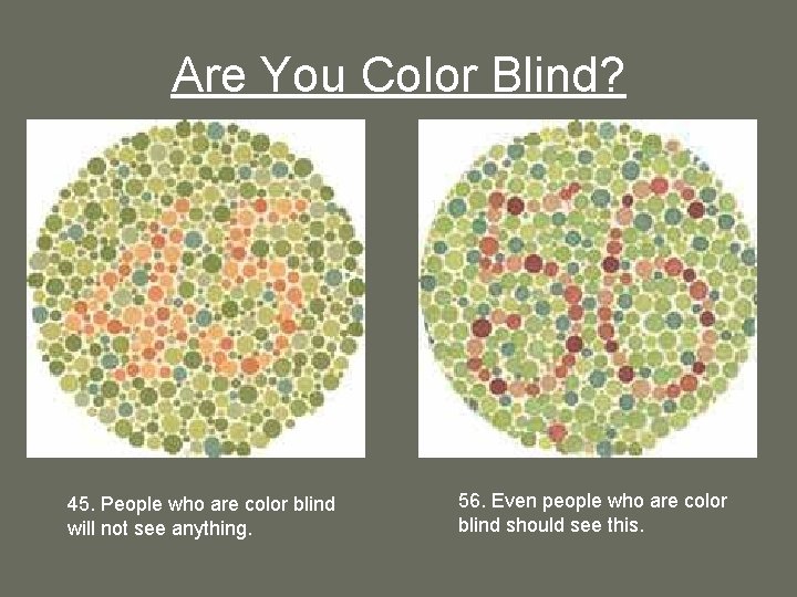 Are You Color Blind? 45. People who are color blind will not see anything.