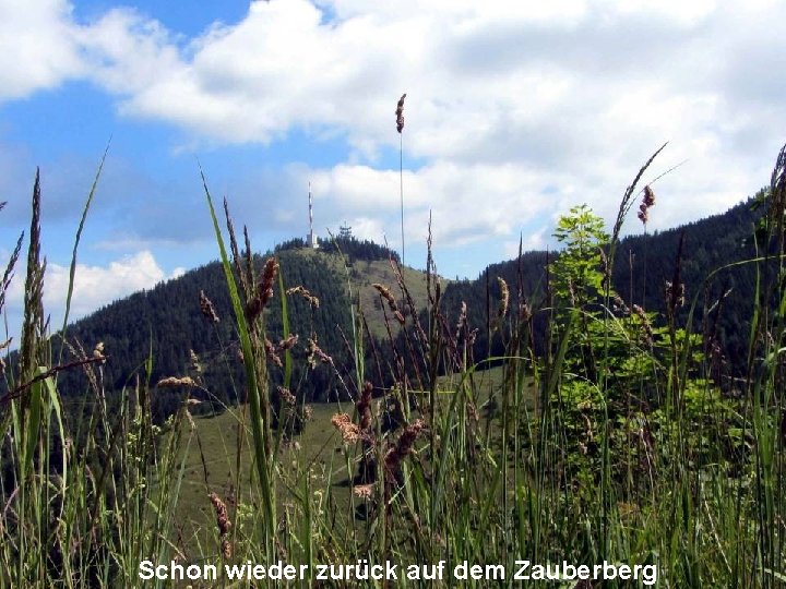Schon wieder zurück auf dem Zauberberg 