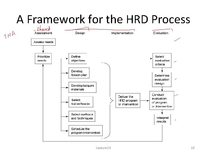 A Framework for the HRD Process Lecture 18 18 