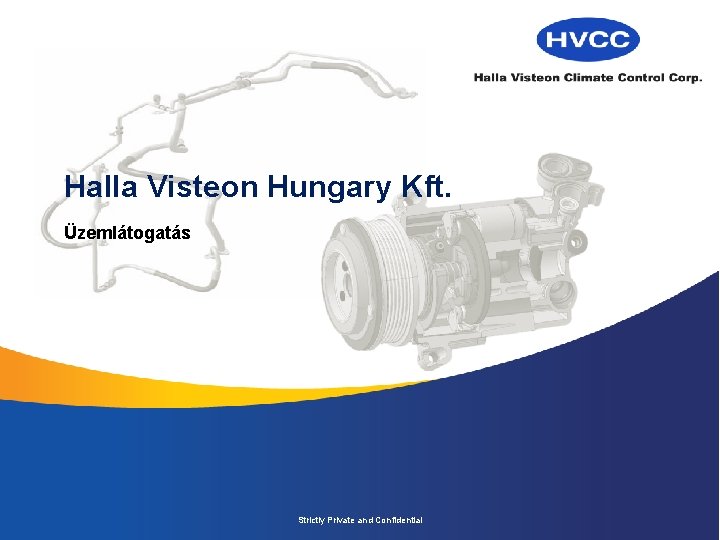 Halla Visteon Hungary Kft. Üzemlátogatás Strictly Private and Confidential 