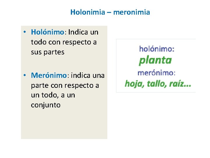 Holonimia – meronimia • Holónimo: Indica un todo con respecto a sus partes •