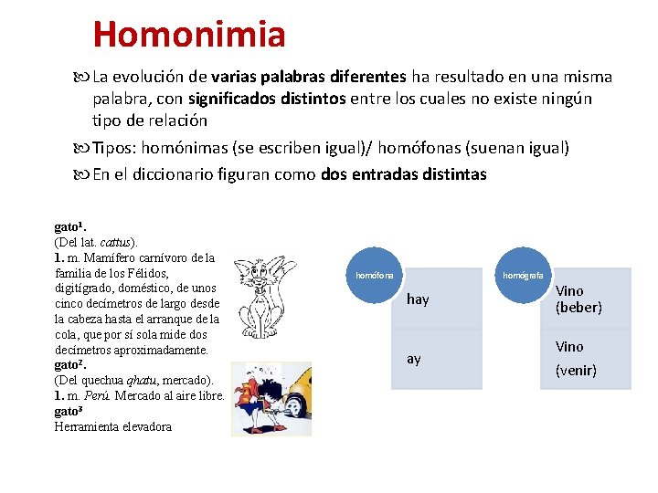 Homonimia La evolución de varias palabras diferentes ha resultado en una misma palabra, con