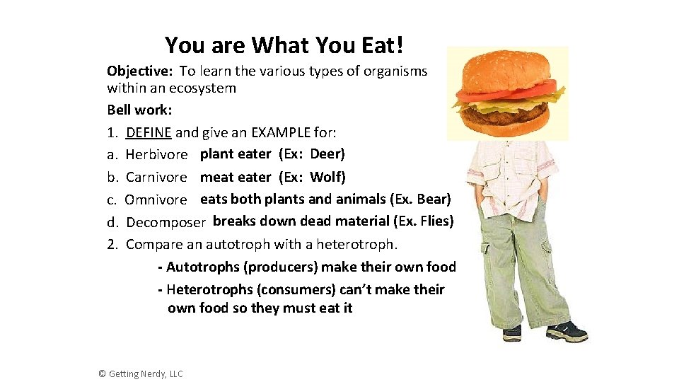 You are What You Eat! Objective: To learn the various types of organisms within