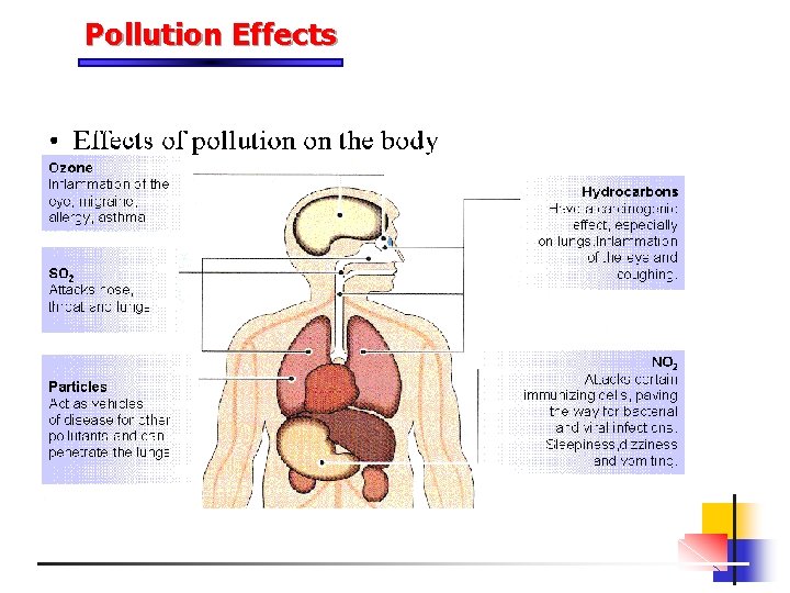 Pollution Effects 