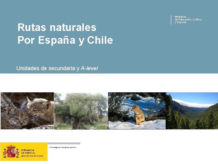 Rutas naturales Por España y Chile Unidades de secundaria y A-level Ministerio de Educación,