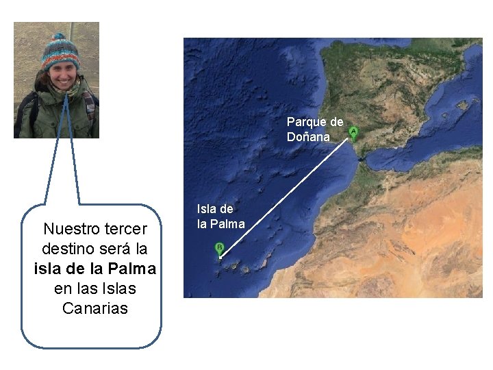 Parque de Doñana Nuestro tercer destino será la isla de la Palma en las