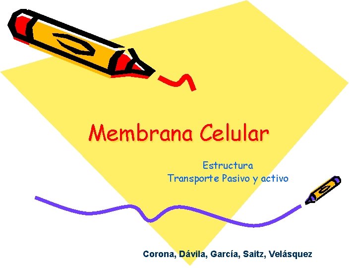Membrana Celular Estructura Transporte Pasivo y activo Corona, Dávila, García, Saitz, Velásquez 