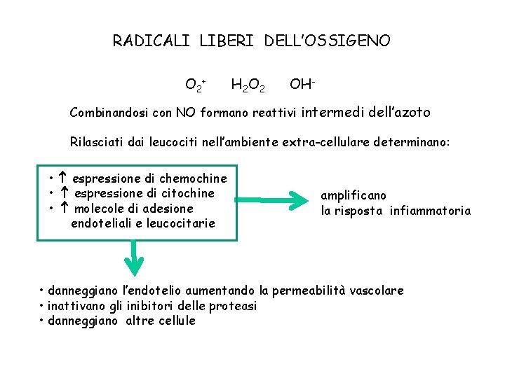 RADICALI LIBERI DELL’OSSIGENO O 2+ H 2 O 2 OH- Combinandosi con NO formano