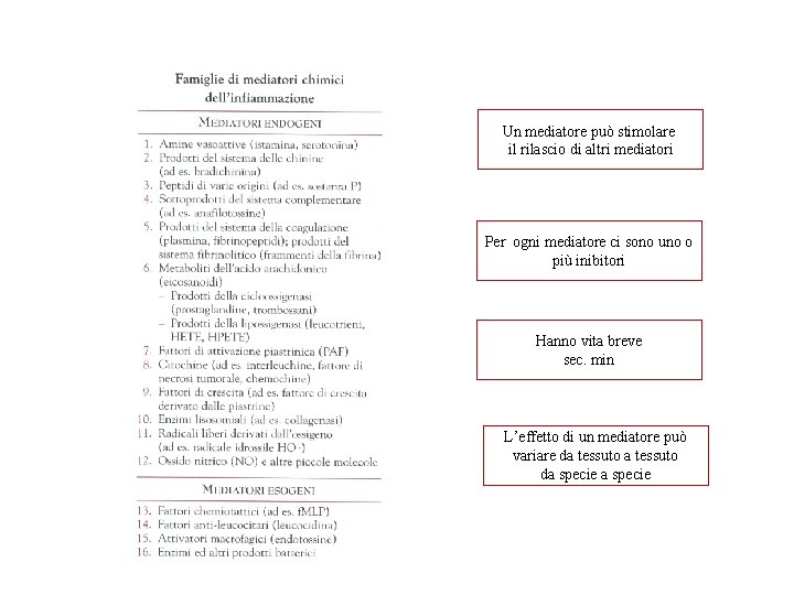 Un mediatore può stimolare il rilascio di altri mediatori Per ogni mediatore ci sono