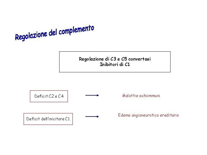 Regolazione di C 3 e C 5 convertasi Inibitori di C 1 Deficit C