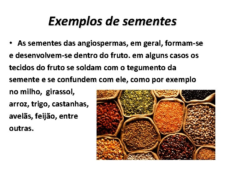 Exemplos de sementes • As sementes das angiospermas, em geral, formam-se e desenvolvem-se dentro