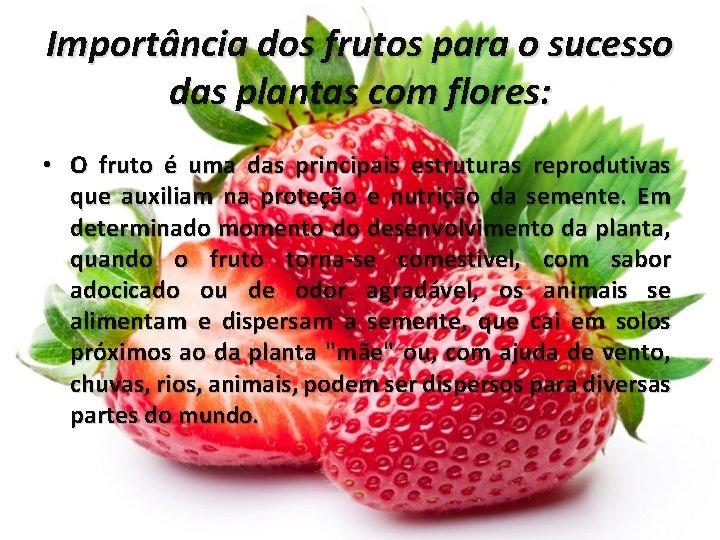 Importância dos frutos para o sucesso das plantas com flores: • O fruto é