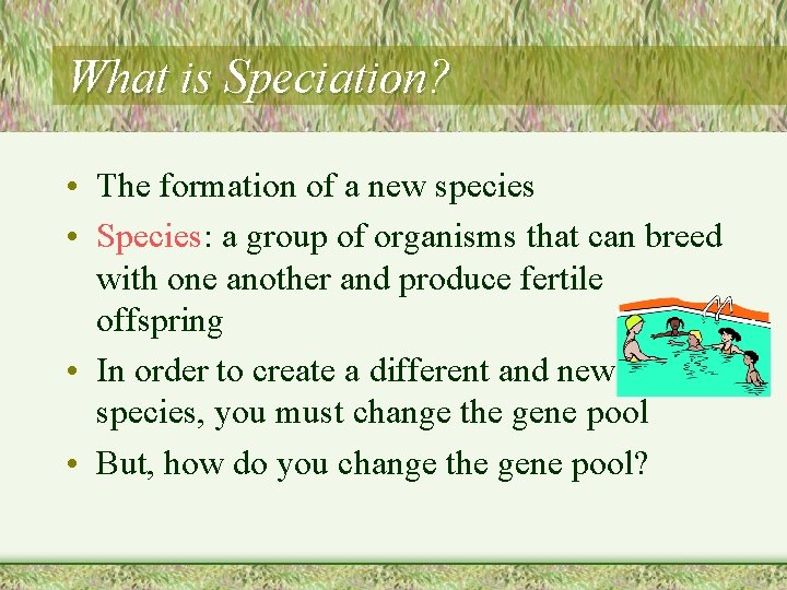 What is Speciation? • The formation of a new species • Species: a group