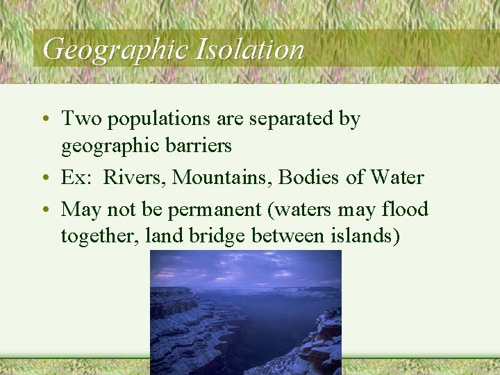 Geographic Isolation • Two populations are separated by geographic barriers • Ex: Rivers, Mountains,