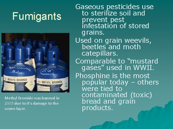 Fumigants Methyl Bromide was banned in 2005 due to it’s damage to the ozone