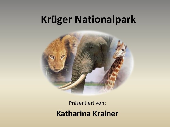 Krüger Nationalpark Präsentiert von: Katharina Krainer 