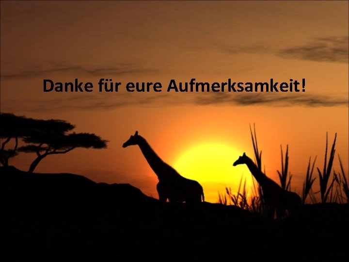 Danke für eure Aufmerksamkeit! 