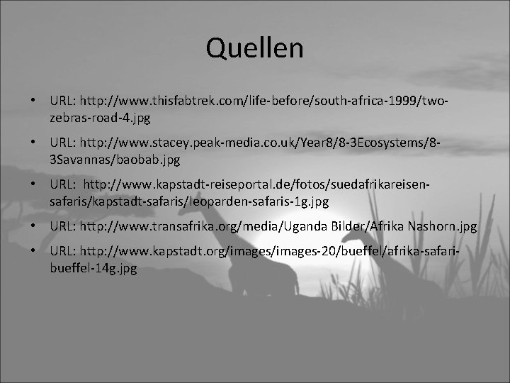 Quellen • URL: http: //www. thisfabtrek. com/life-before/south-africa-1999/twozebras-road-4. jpg • URL: http: //www. stacey. peak-media.