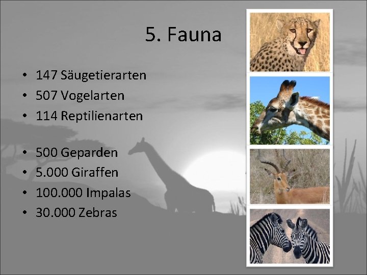 5. Fauna • 147 Säugetierarten • 507 Vogelarten • 114 Reptilienarten • • 500