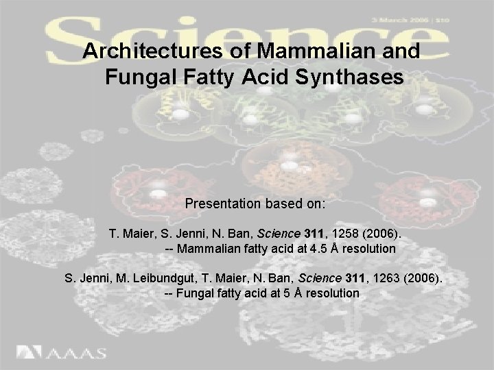 Architectures of Mammalian and Fungal Fatty Acid Synthases Presentation based on: T. Maier, S.