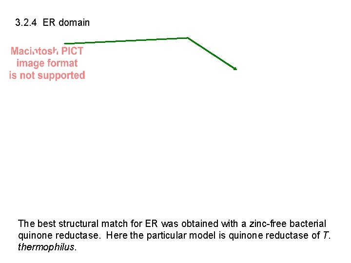 3. 2. 4 ER domain The best structural match for ER was obtained with
